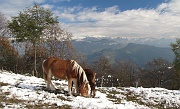 ANELLO DEL LINZONE - L'AUTUNNO SI TINGE DI BIANCO....